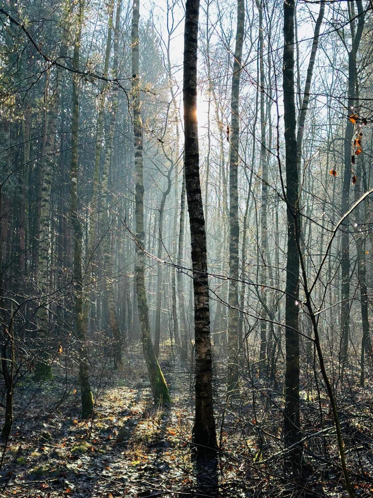 Domki Kacprowy W Lipnicy Lipnica  Экстерьер фото