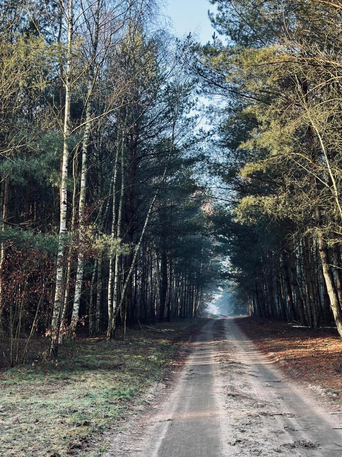 Domki Kacprowy W Lipnicy Lipnica  Экстерьер фото